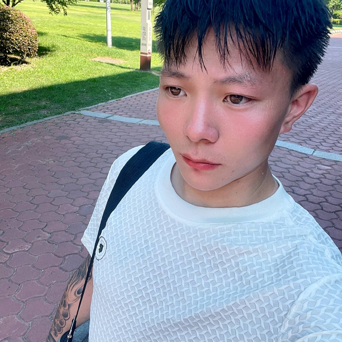 笑点低用小鸽子的照片