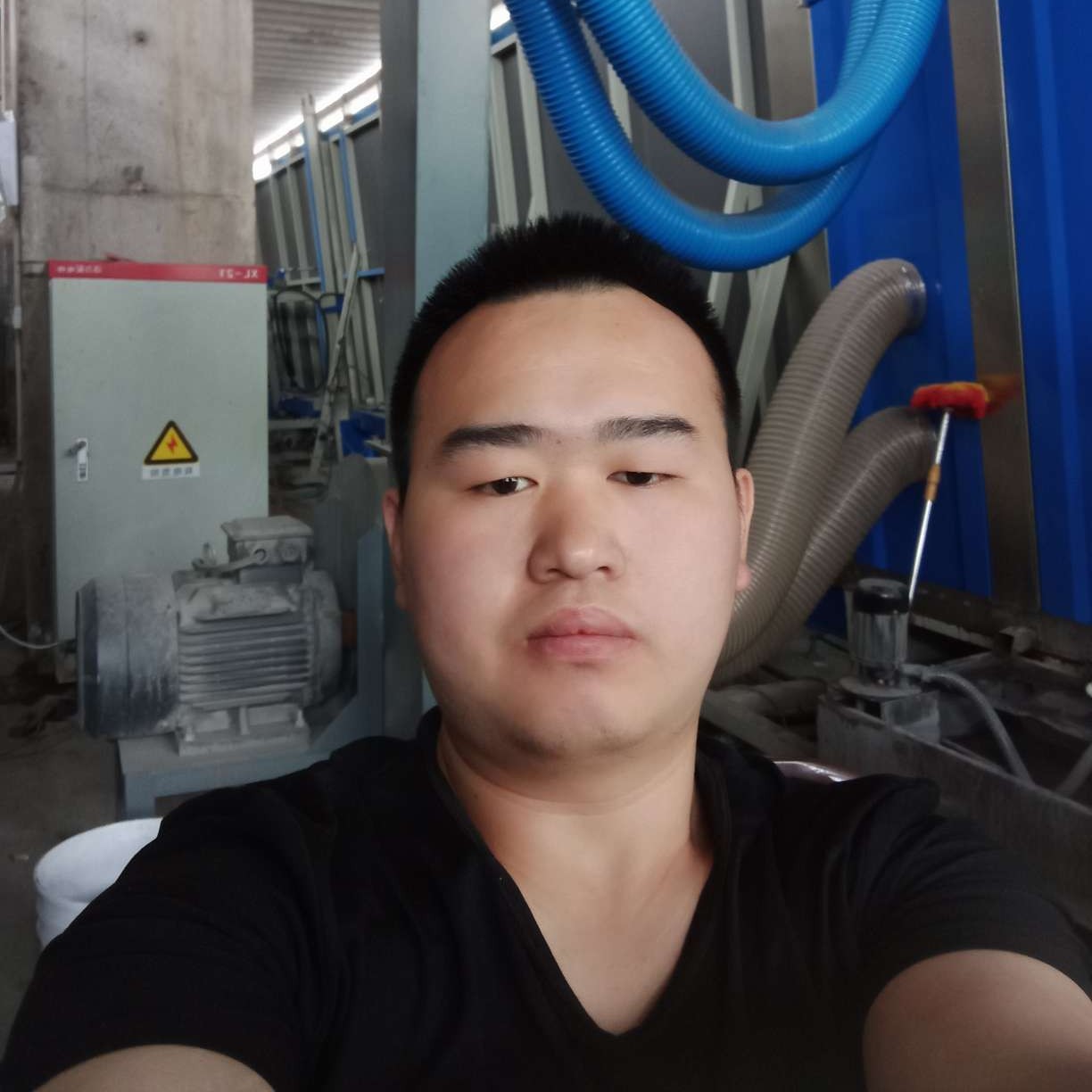 高高爱西牛的照片