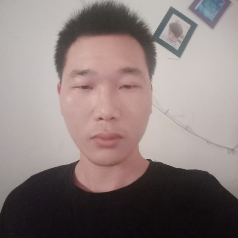一路寻你的照片
