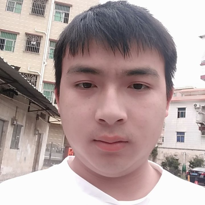 红牛的无情的照片