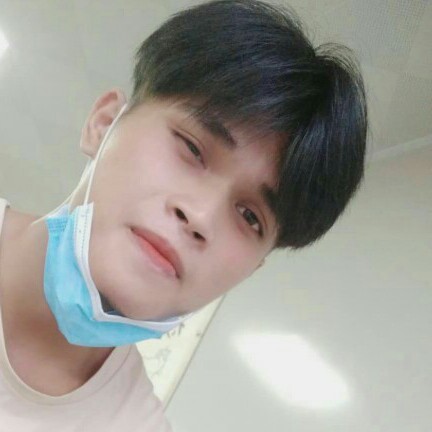 倾心蚂蚁的照片