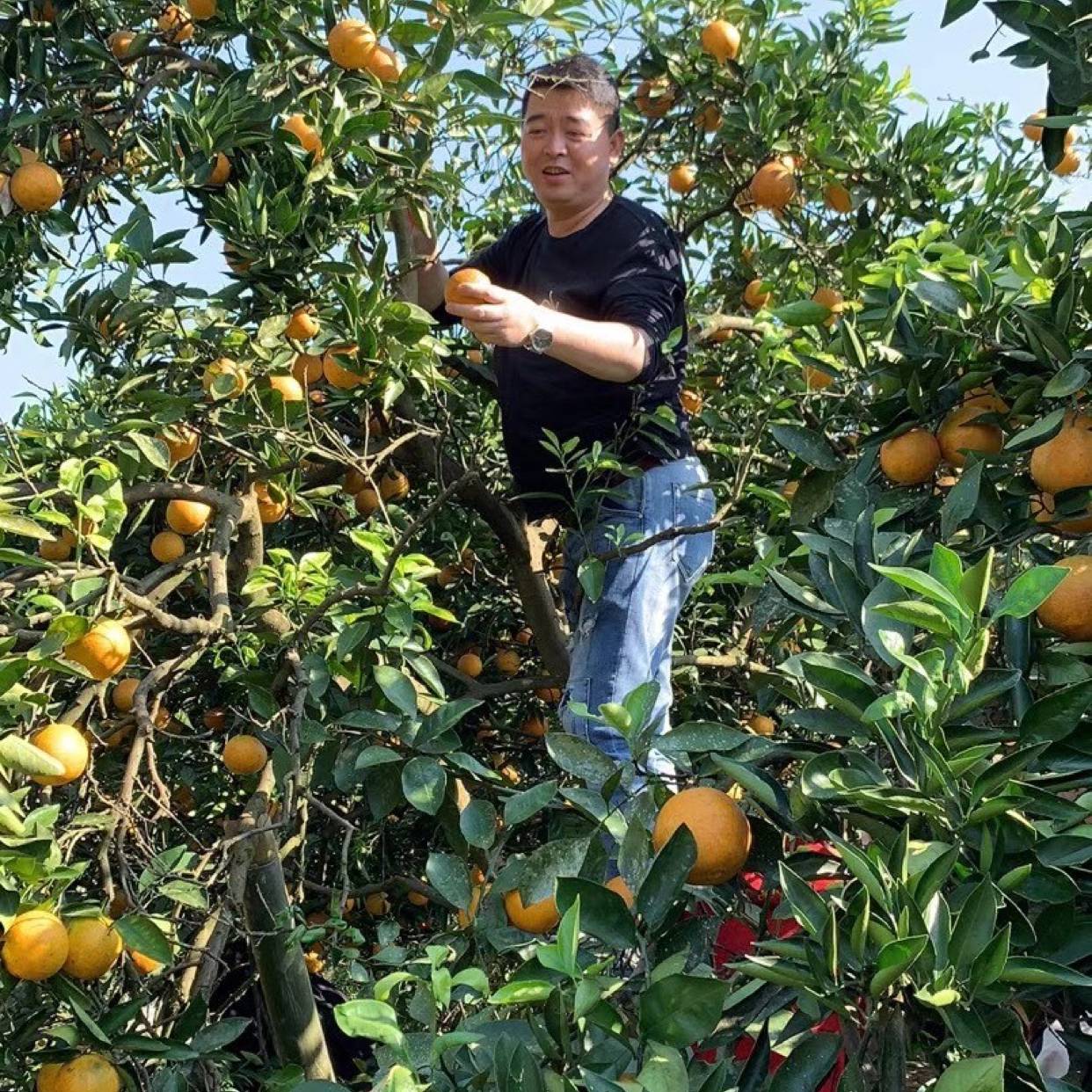 醉熏等于墨镜的照片