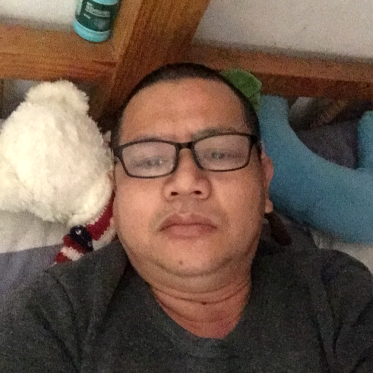 春天草的希望的照片