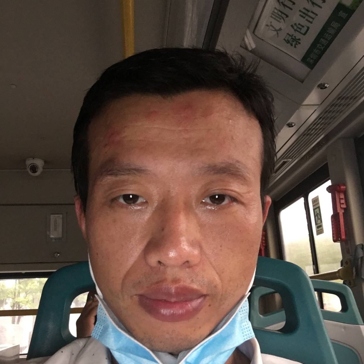 如缘如梦的照片