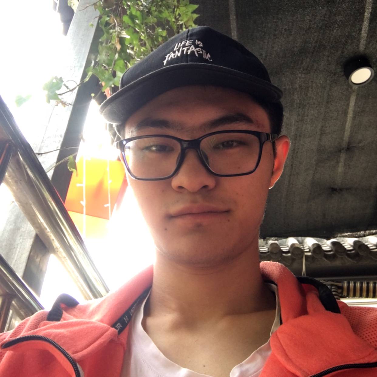 顺利有平湖的照片