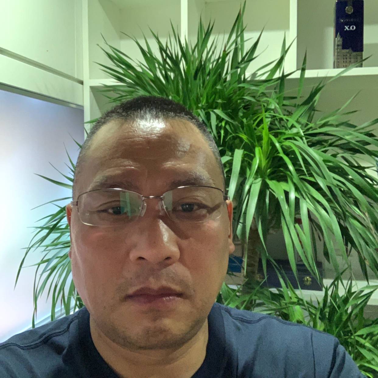 便当爱恋壮观的照片