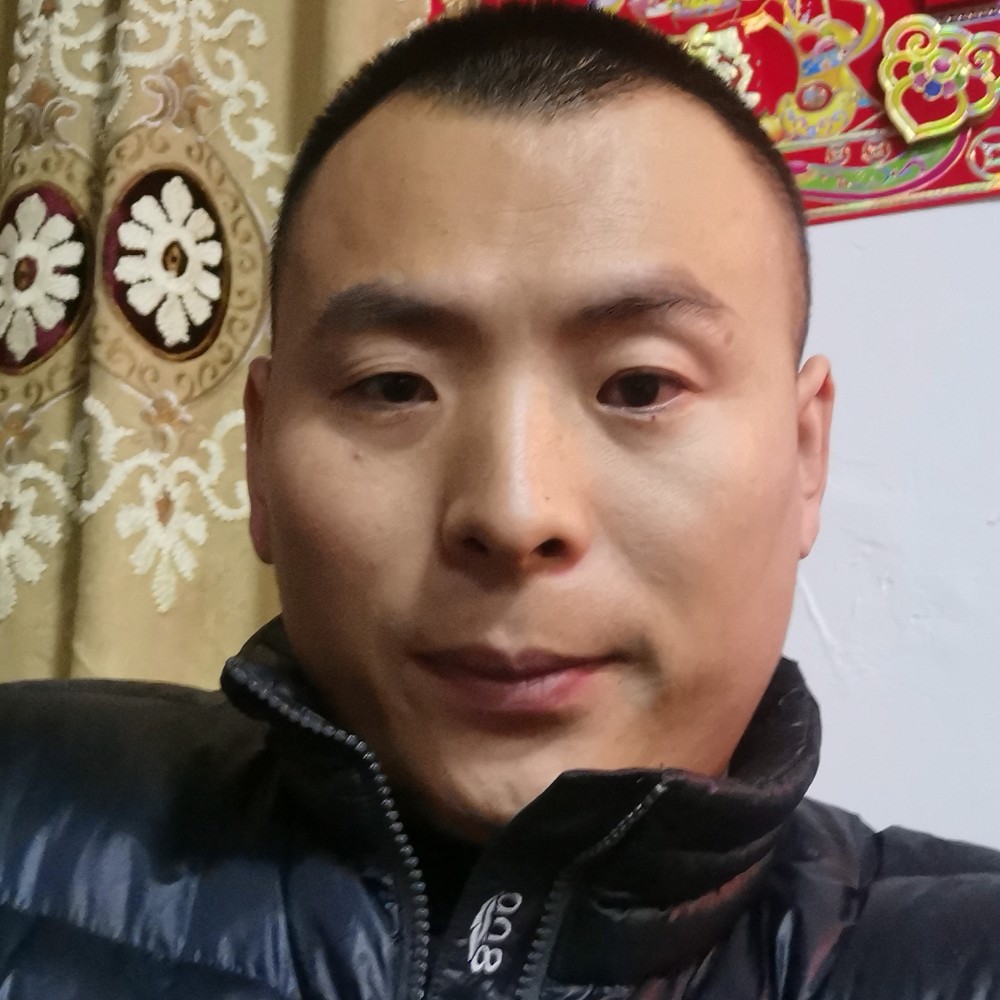 玫瑰苦恋默默的照片