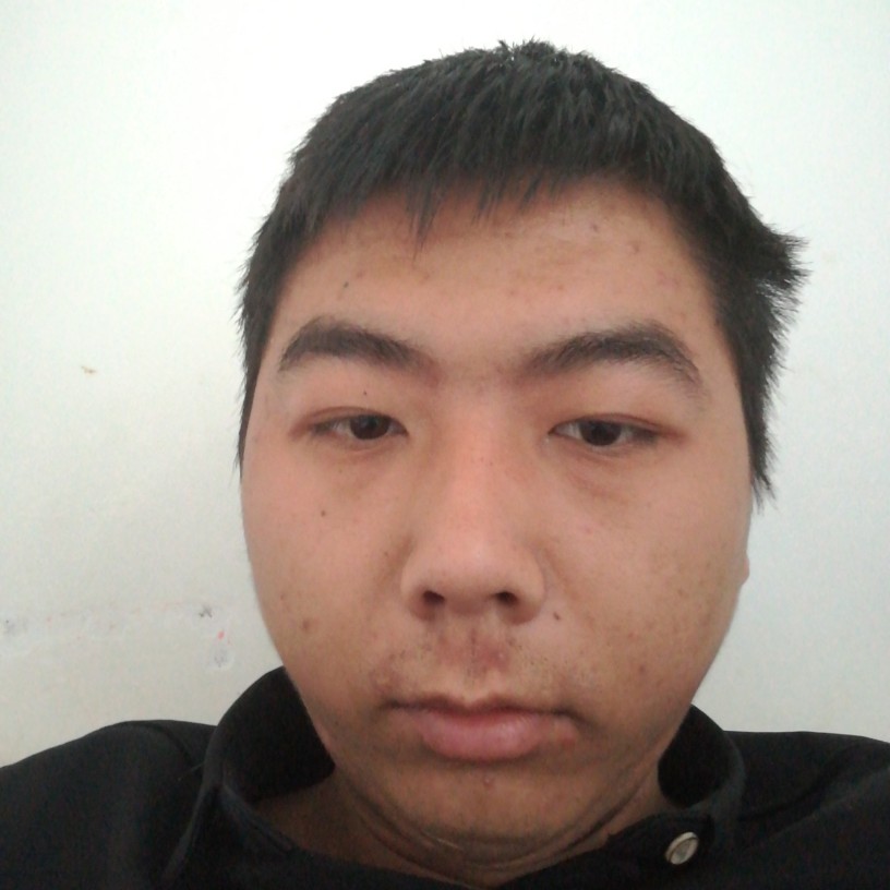 辛勤迎化羽的照片