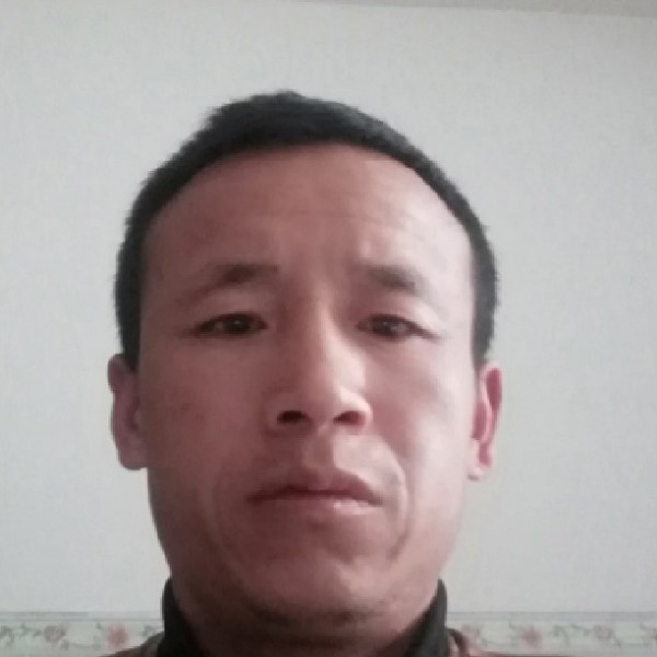 大船和怕孤单的照片