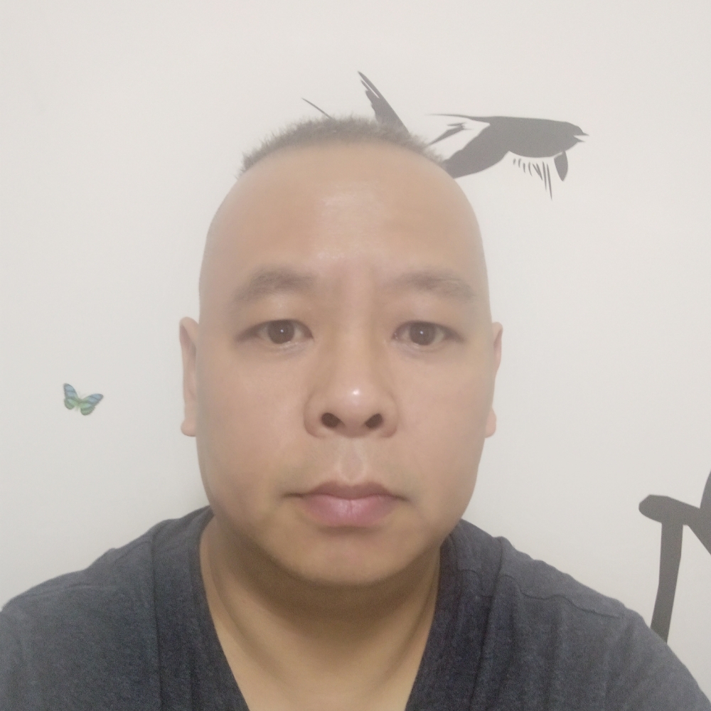 蜻蜓闻机智的照片
