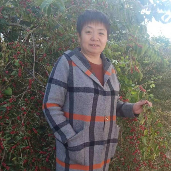 菠萝拾忆飘逸的照片