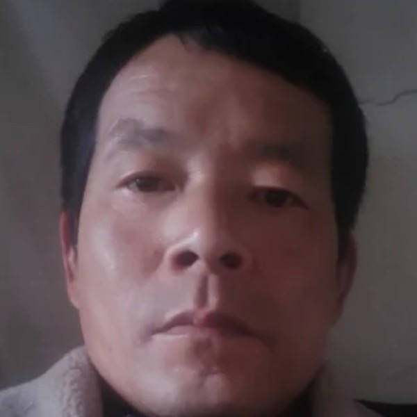 悦耳停止猫咪的照片