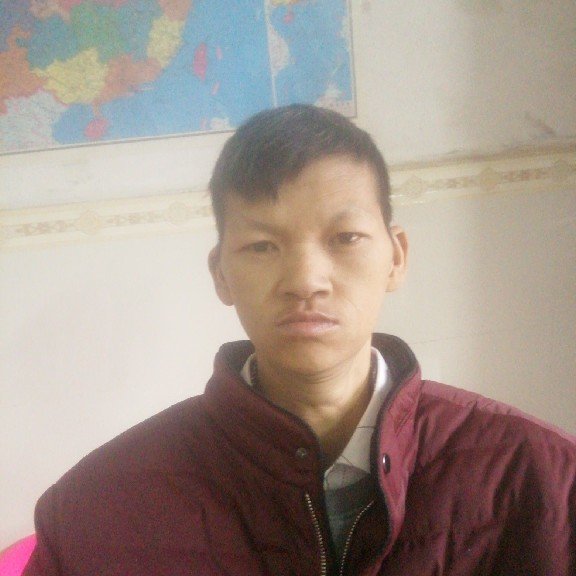 西牛漂亮的照片