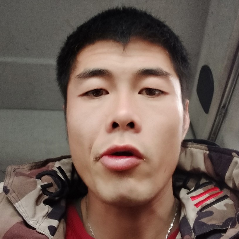 滑板美丽的照片
