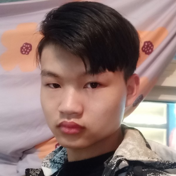 白猫爱恋优美的照片