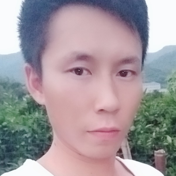 芒果平淡的照片