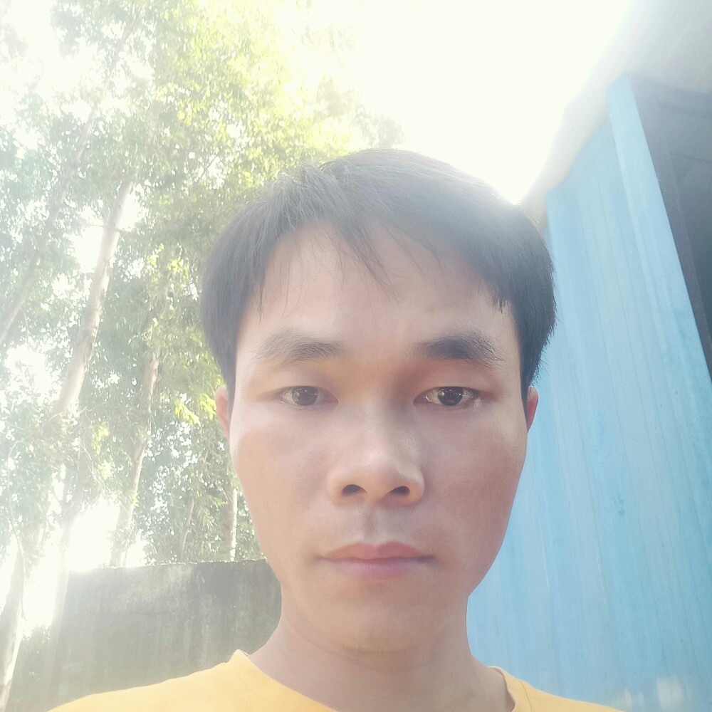 西夏情缘的照片