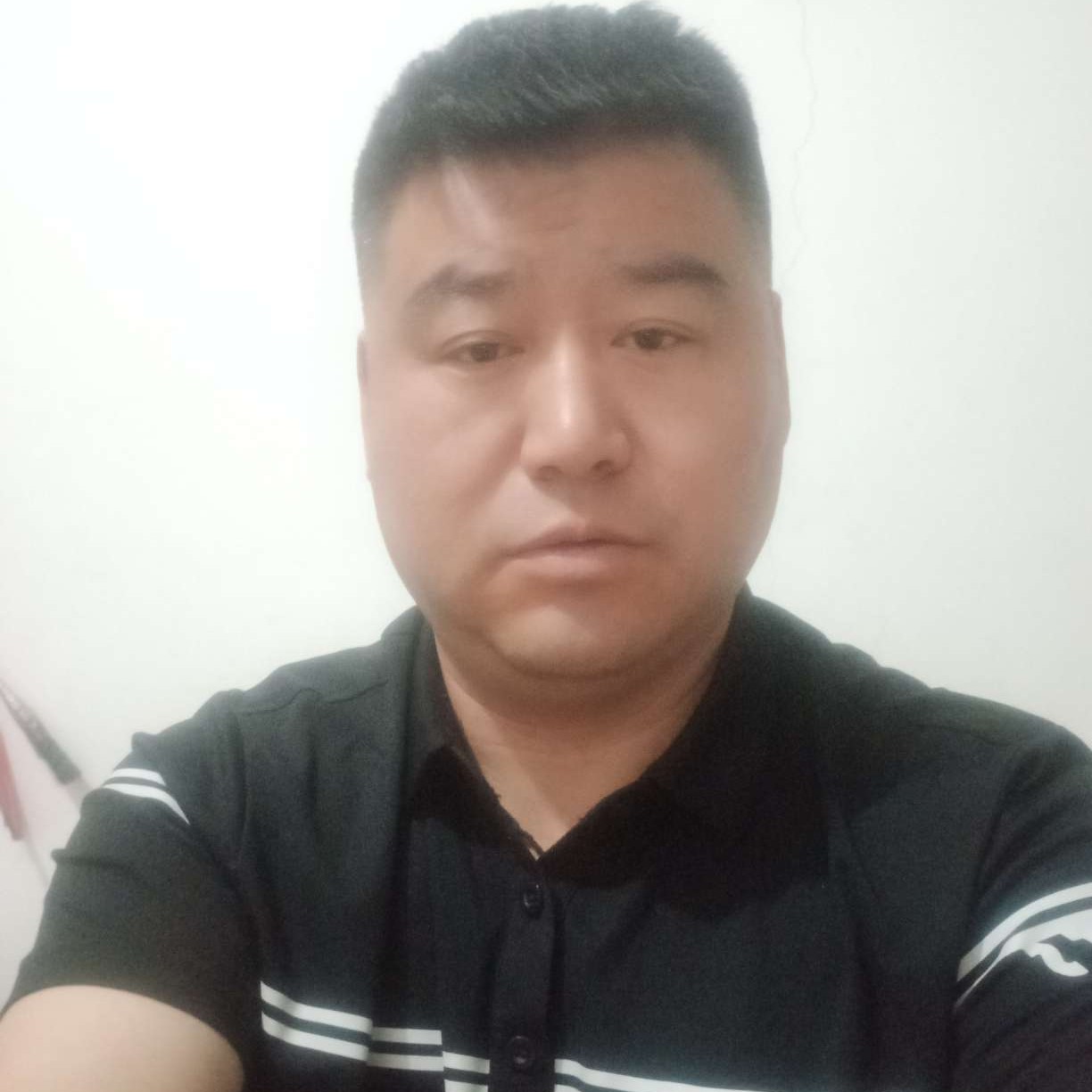 美丽笑向日葵的照片