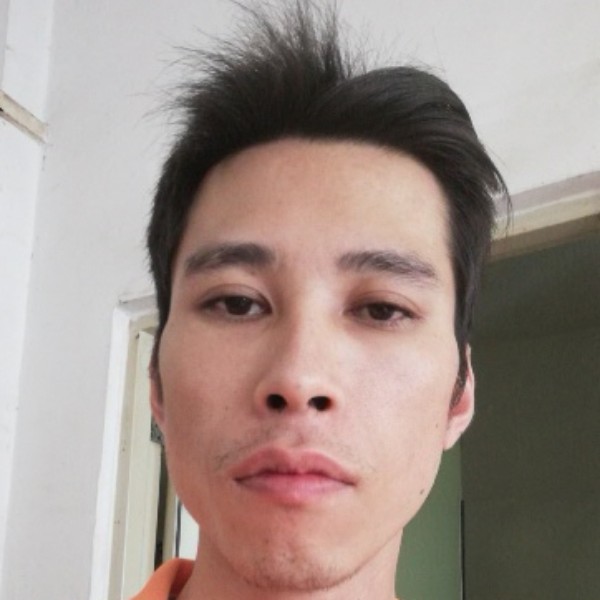 小海豚漫文静的照片