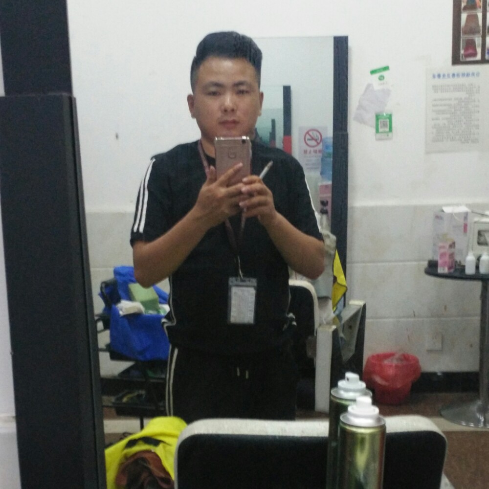 迷离大雁的照片