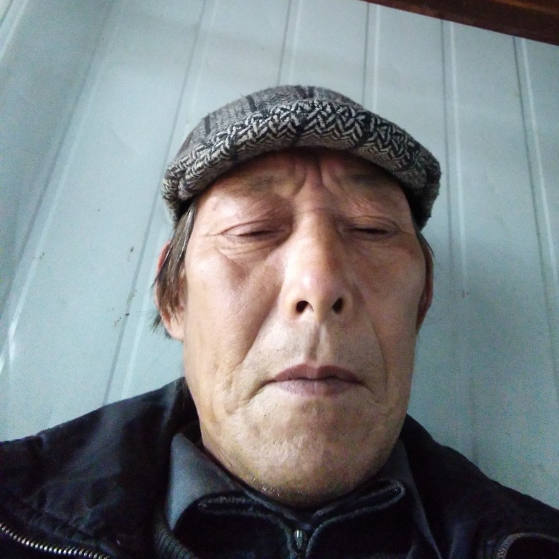 迅速网络的照片