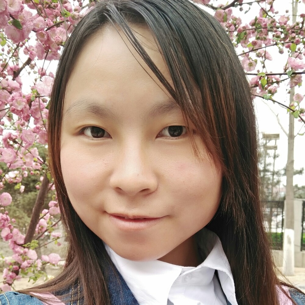 美丽战斗机的照片