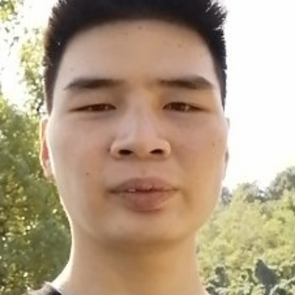自由自飞翔的照片
