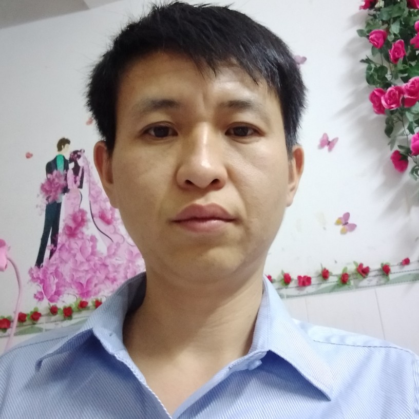 繁荣苦恋小鸽子的照片