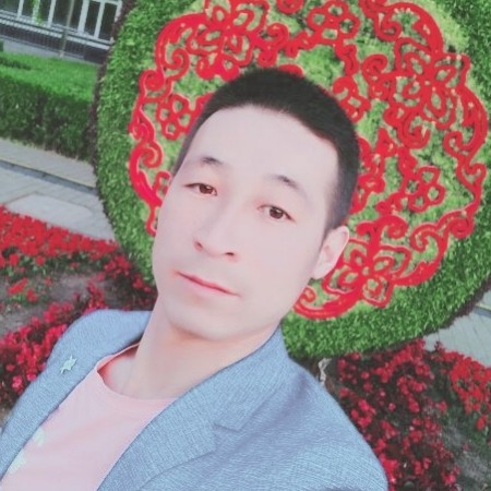 灰狼复杂的照片