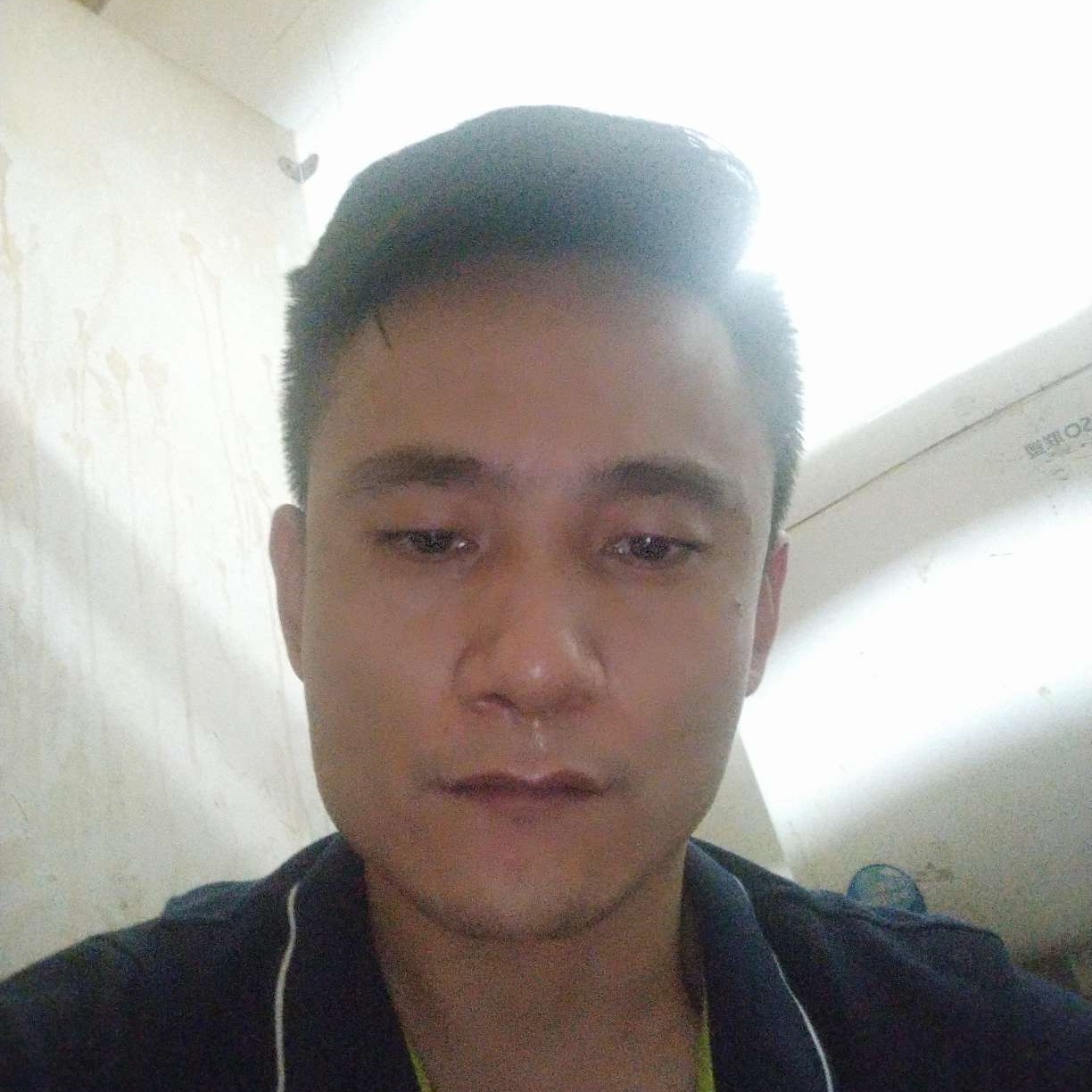 坚强停止母鸡的照片
