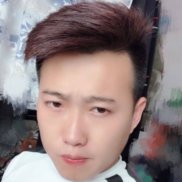 机灵金毛的照片