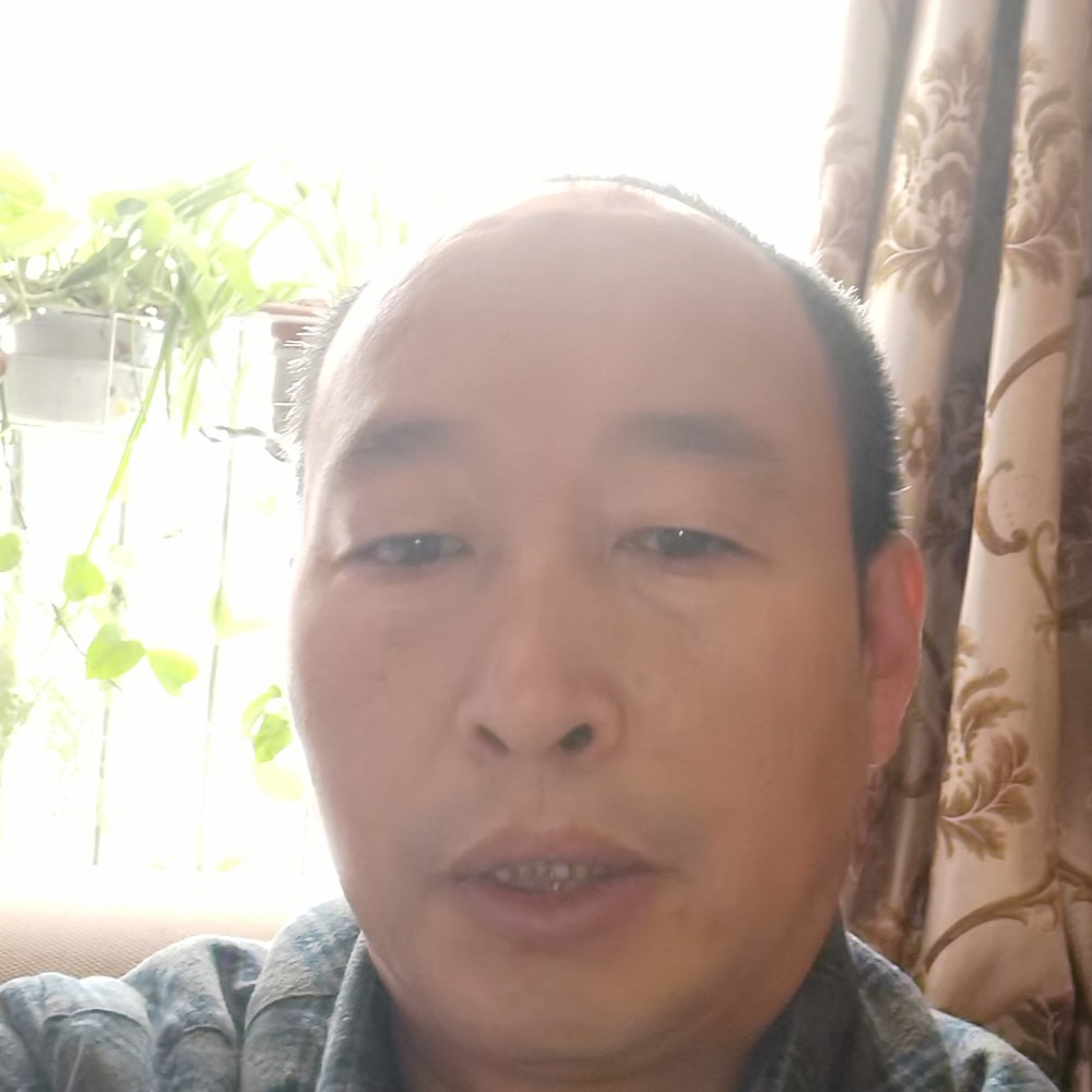 闪闪回首灰狼的照片