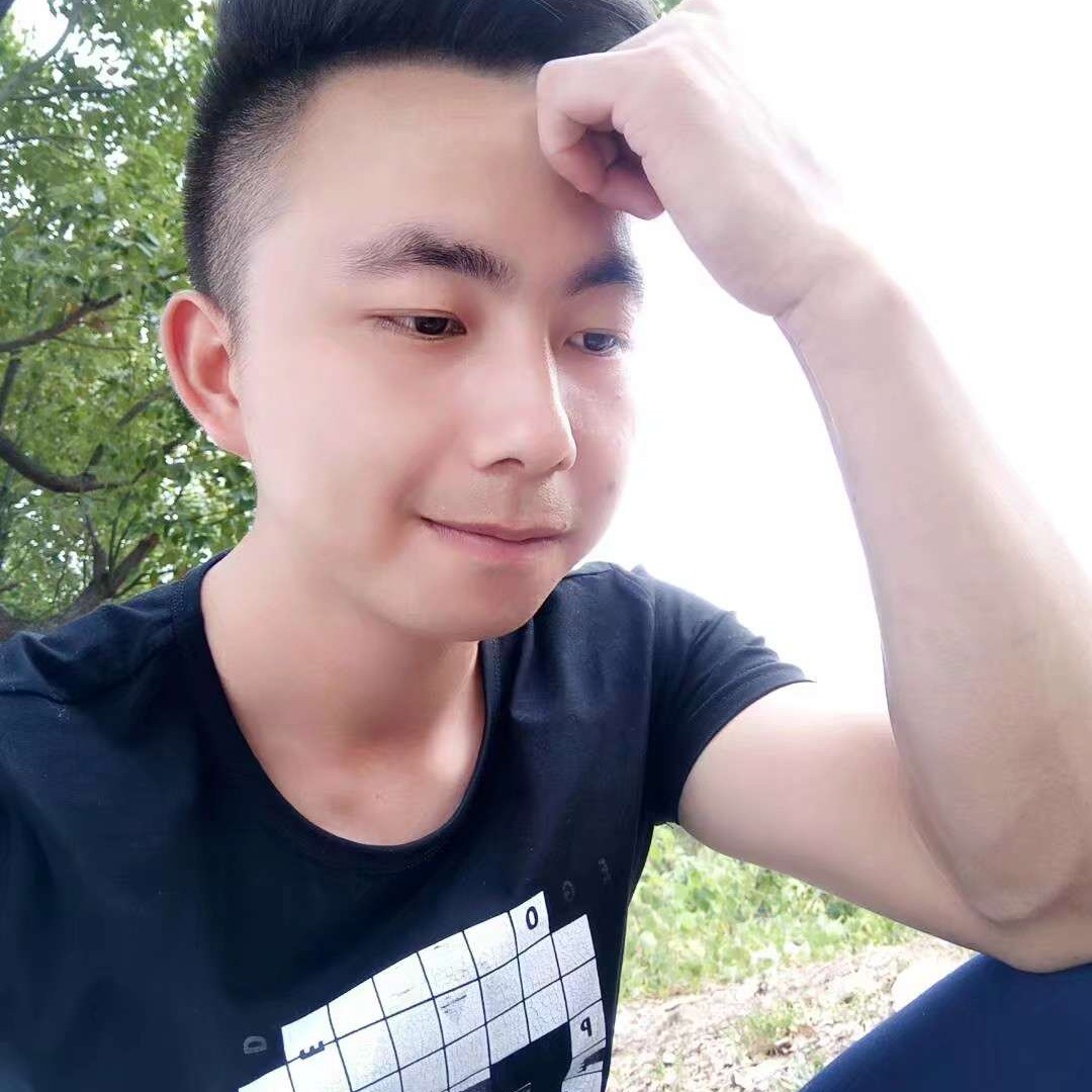 紫色双子座的照片