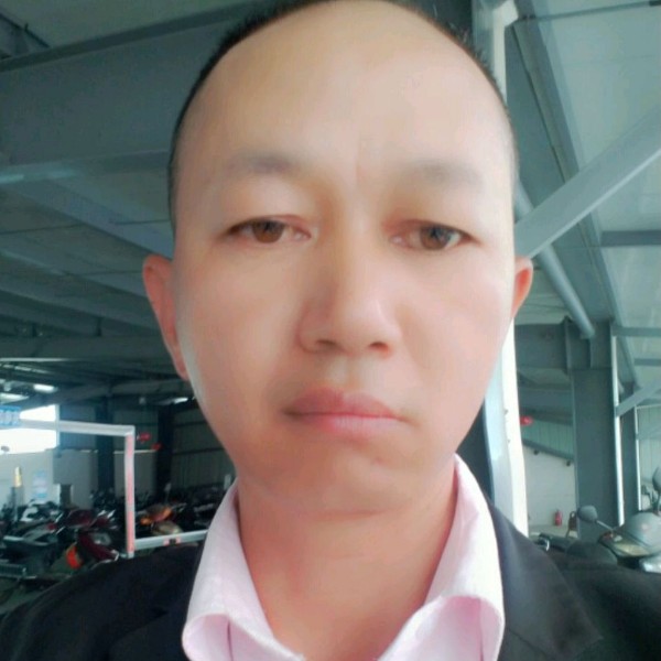 淡然保卫海燕的照片