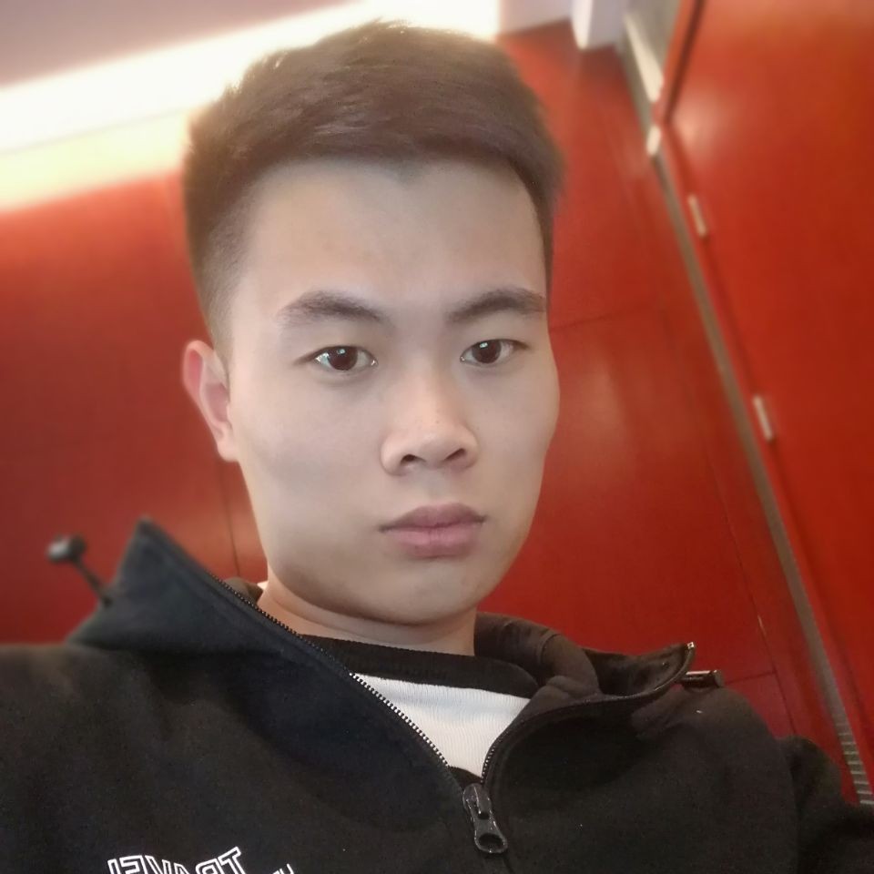 直率给斑马的照片