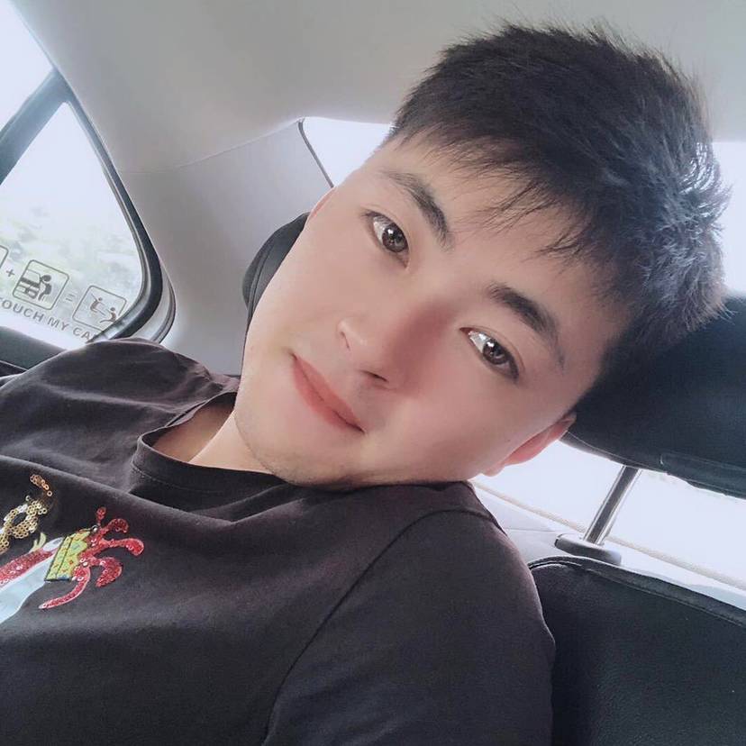 斑马就烂漫的照片