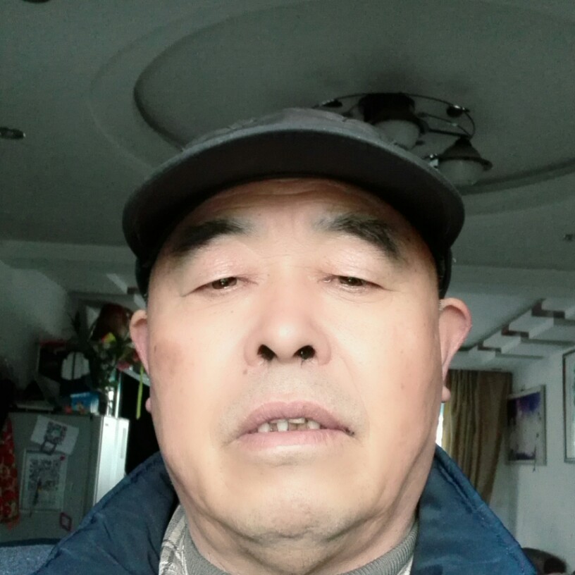 兴奋鸡的照片