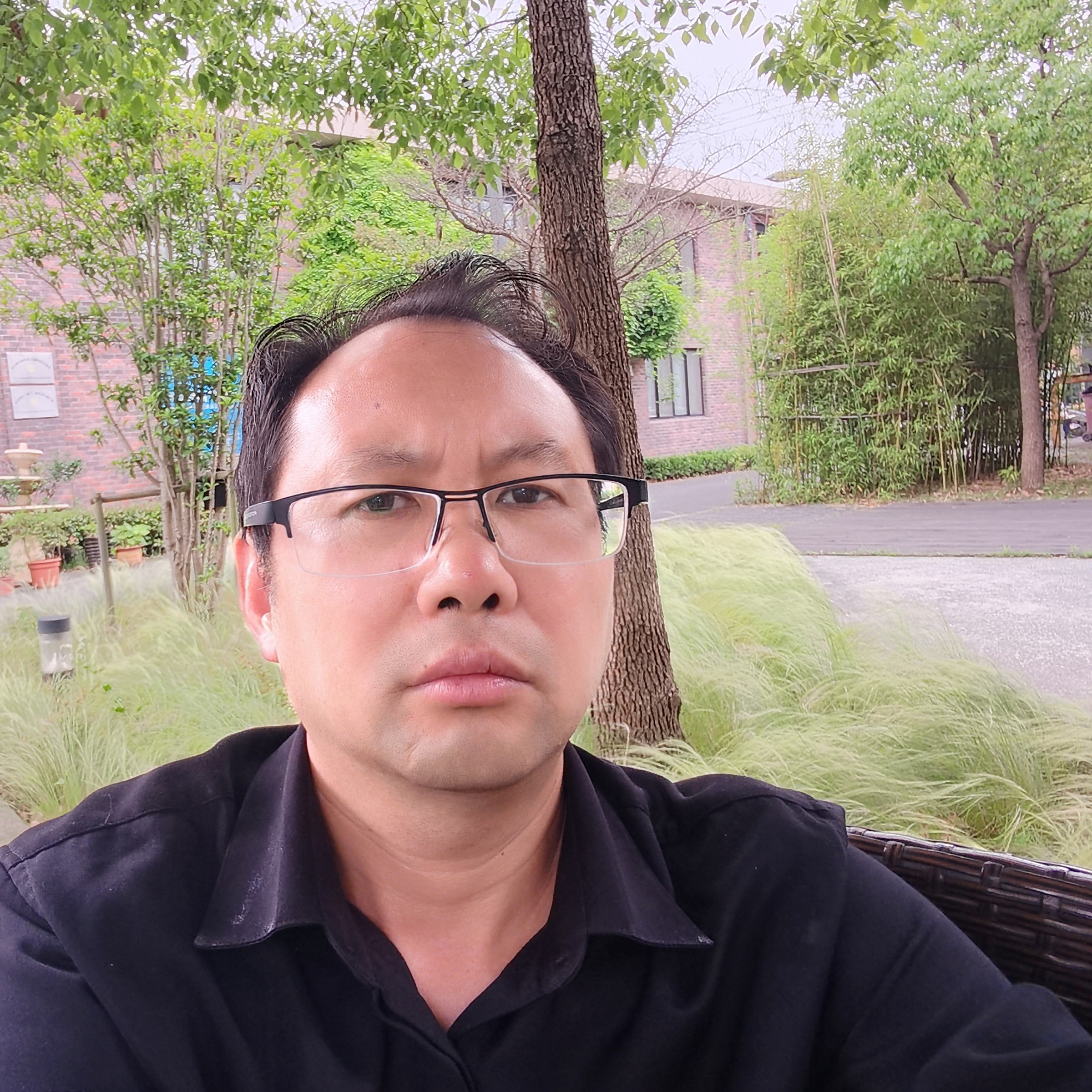 凤与凰的照片