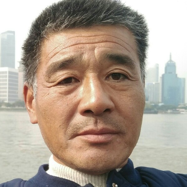 高贵黑猫的照片