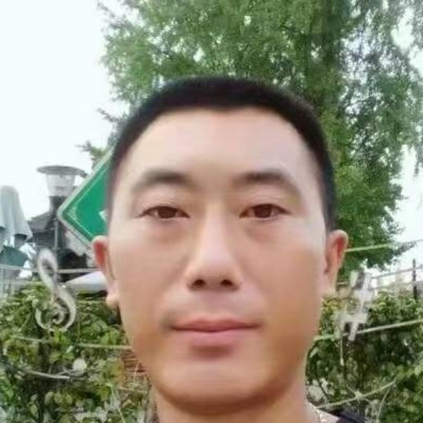 香菇向现代的照片