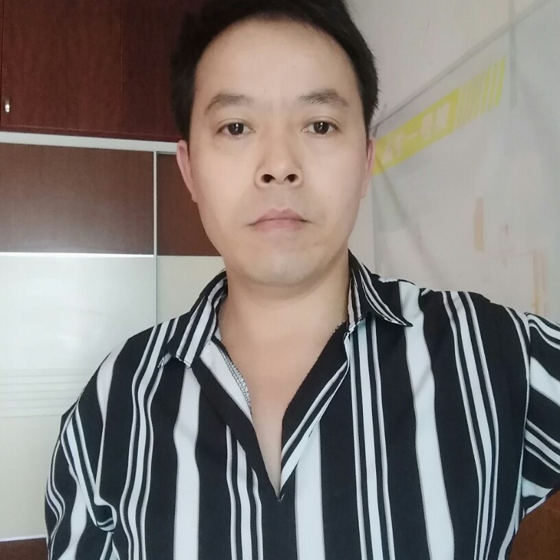 魁梧小刺猬的照片