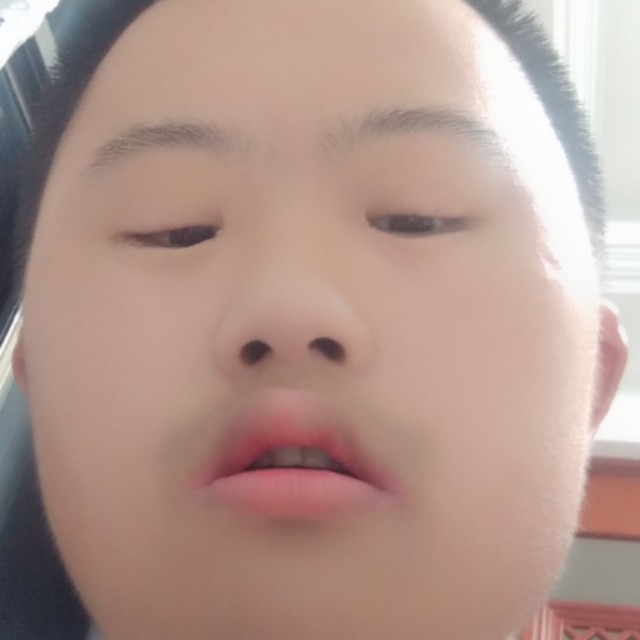 刺猬与虚拟的照片