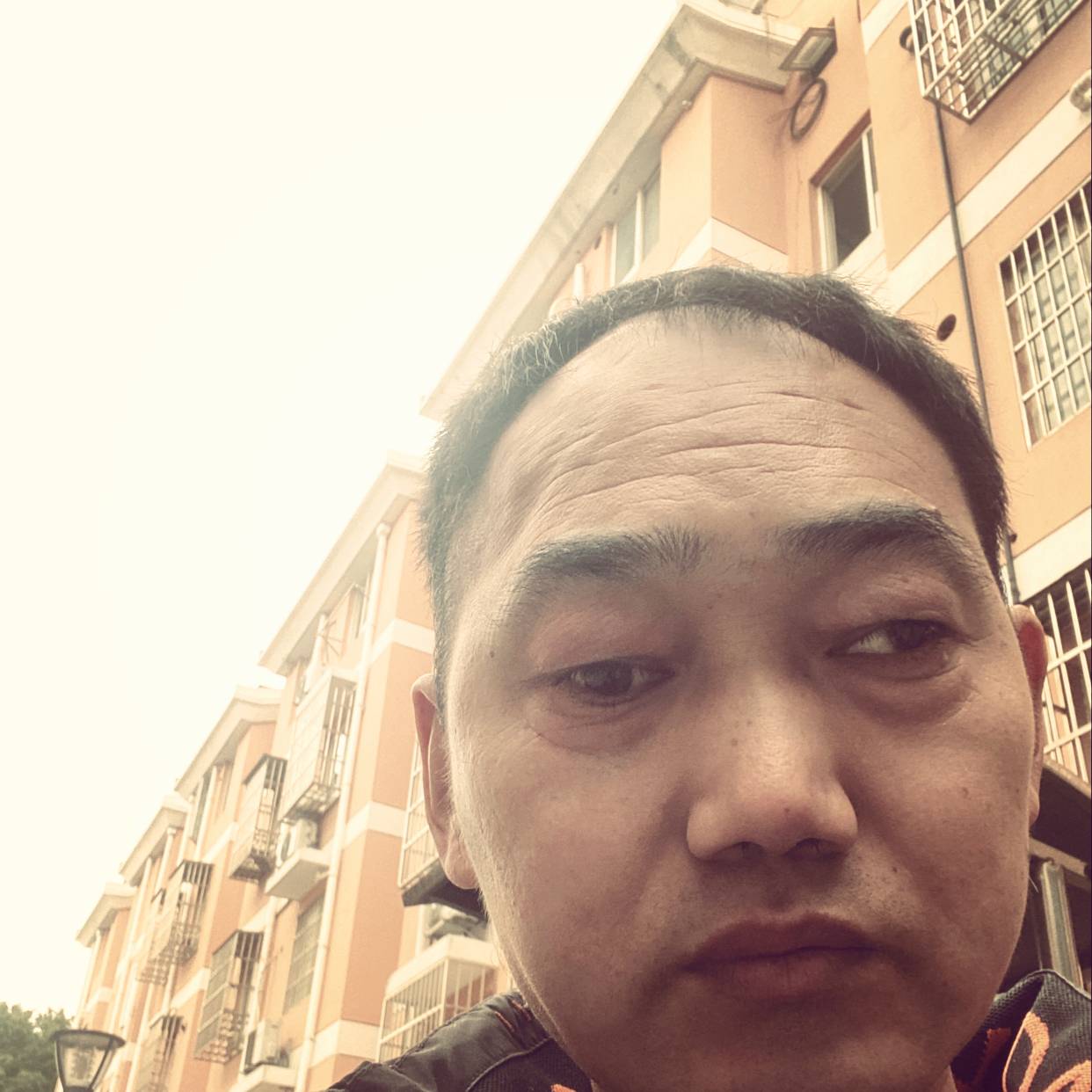 爱你到亡的照片