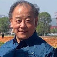 为伊消得人痴迷的照片