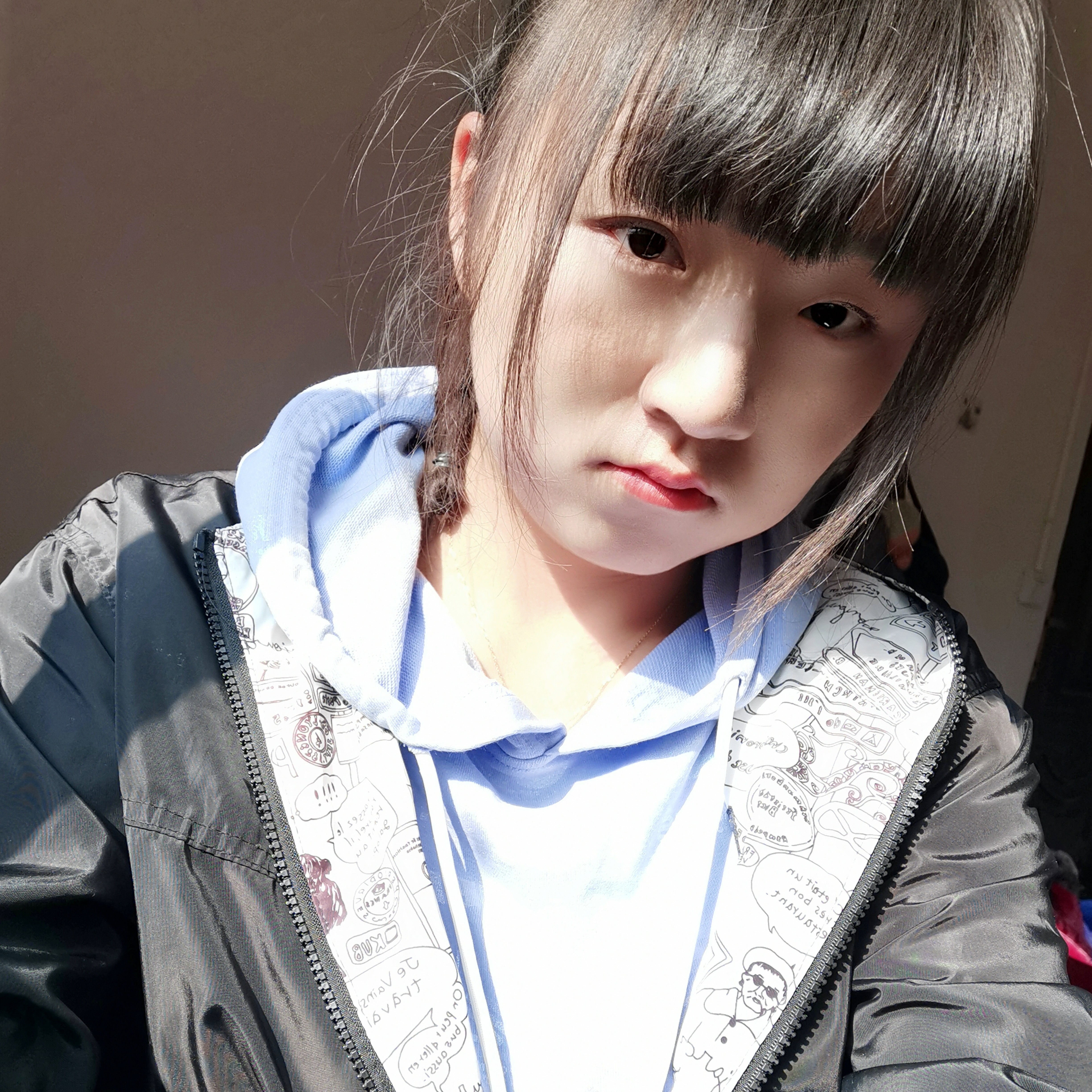 小鸭子傻傻的照片