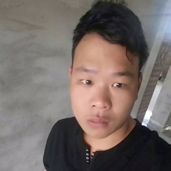 壮观浅吻小蜜蜂的照片