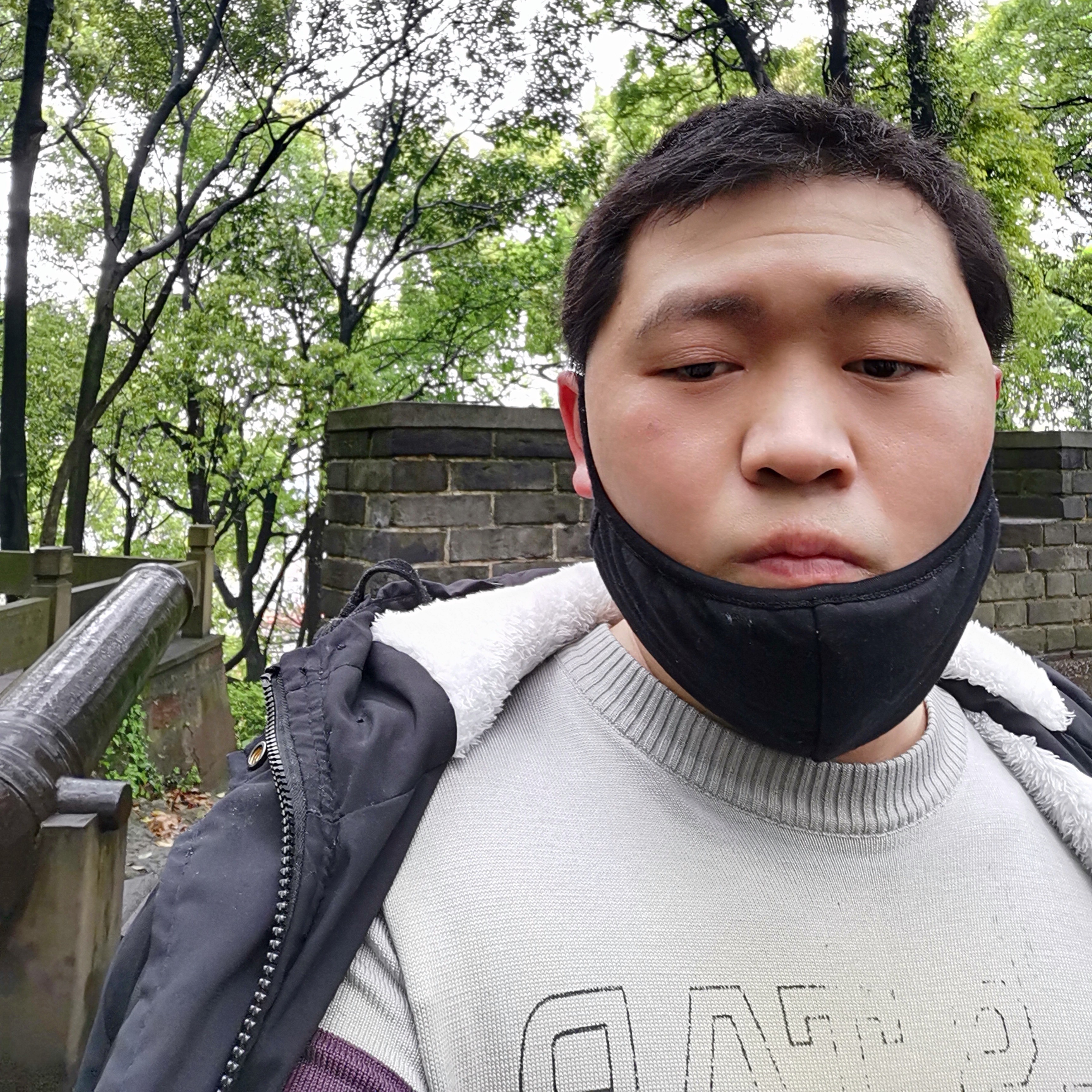 刺猬多么浮生的照片