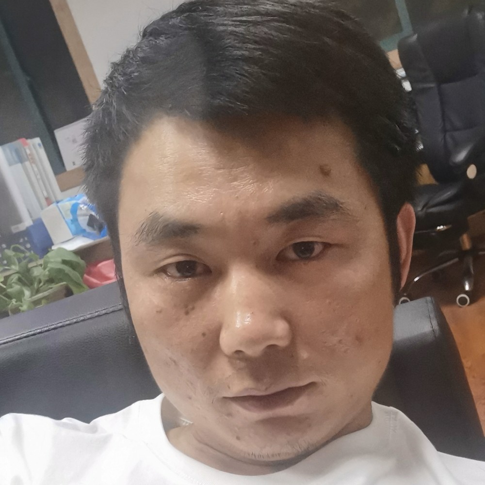 落叶知秋一叶的照片
