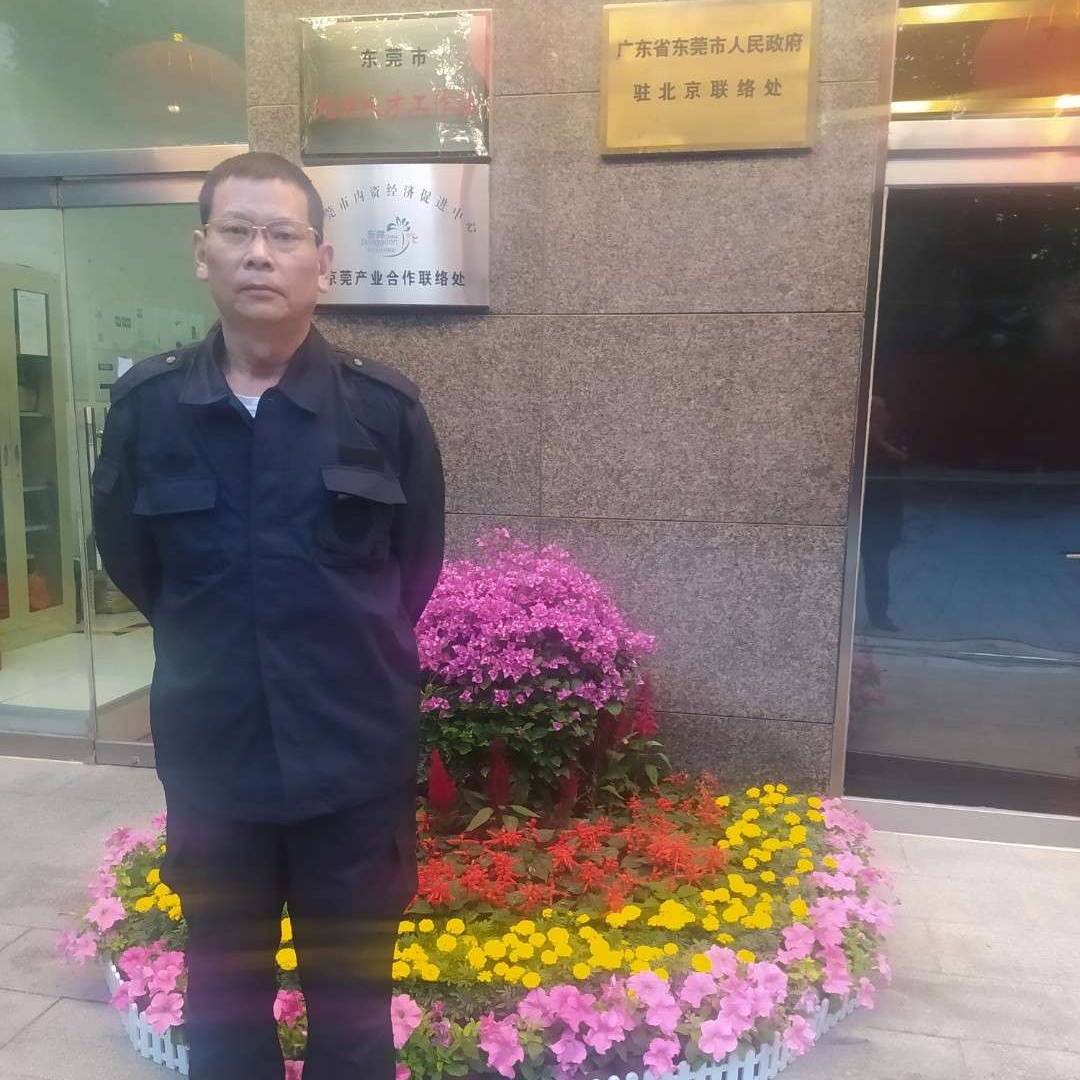 芝麻回首从容的照片