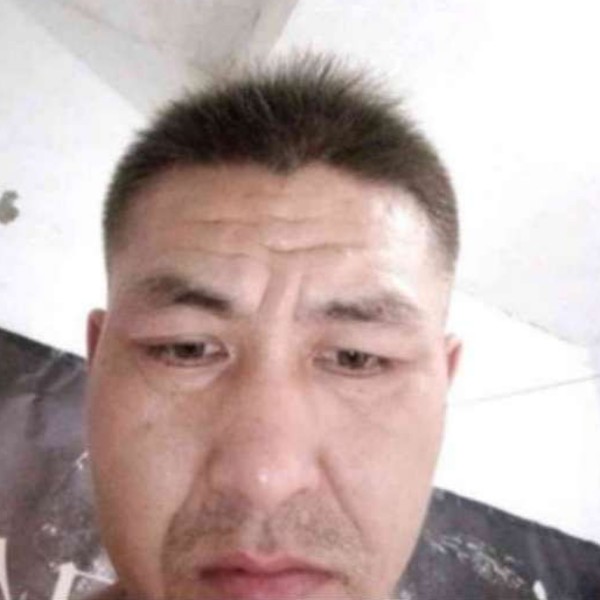芝麻用漠然的照片